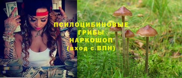 соль курить ск Богородицк