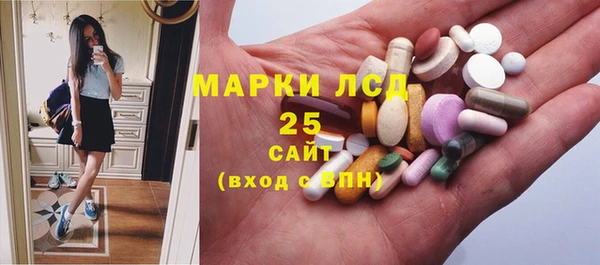 ПСИЛОЦИБИНОВЫЕ ГРИБЫ Богородск