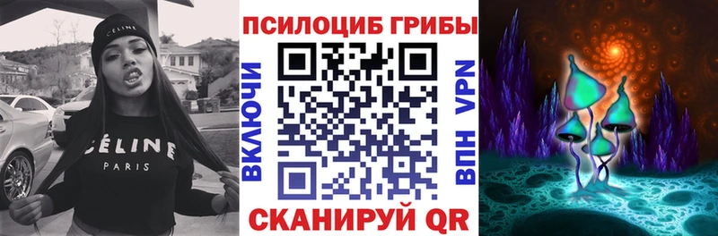 Купить  Кукмор  Галлюциногенные грибы GOLDEN TEACHER 